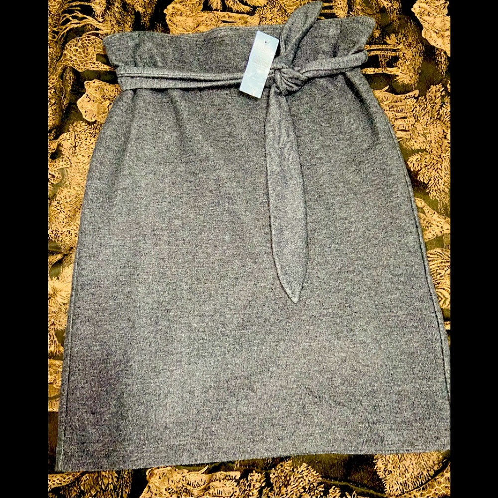 NWT Ann Taylor semi pencil skirt.